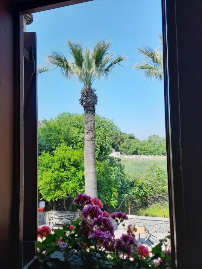 Casa Callinos Bed and Breakfast Selçuk Exteriör bild
