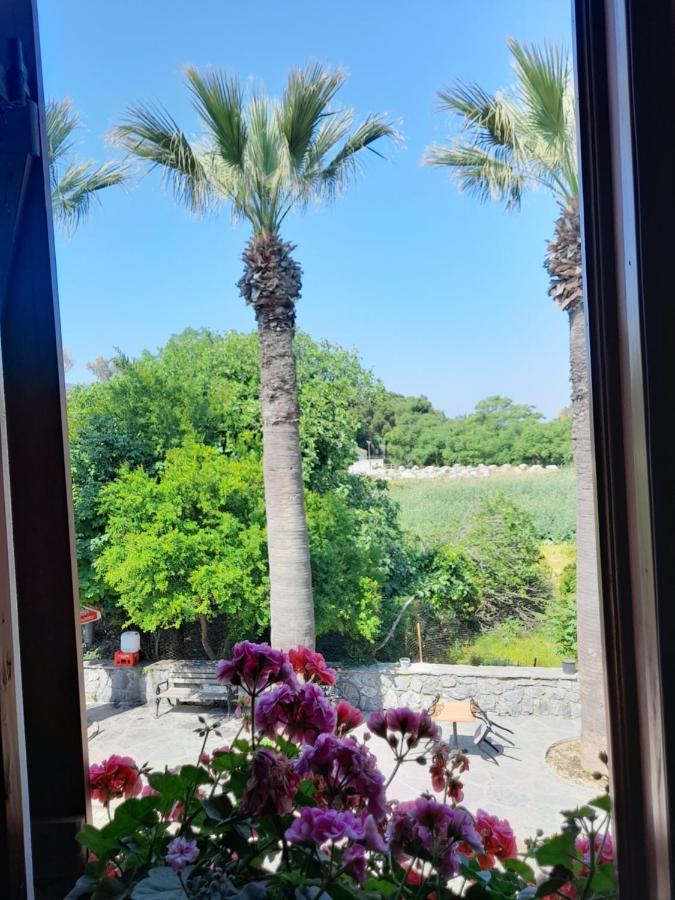 Casa Callinos Bed and Breakfast Selçuk Exteriör bild